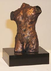 t-maletorso1.jpg (14006 bytes)