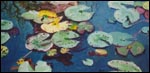 "Reflection/Lilies"
